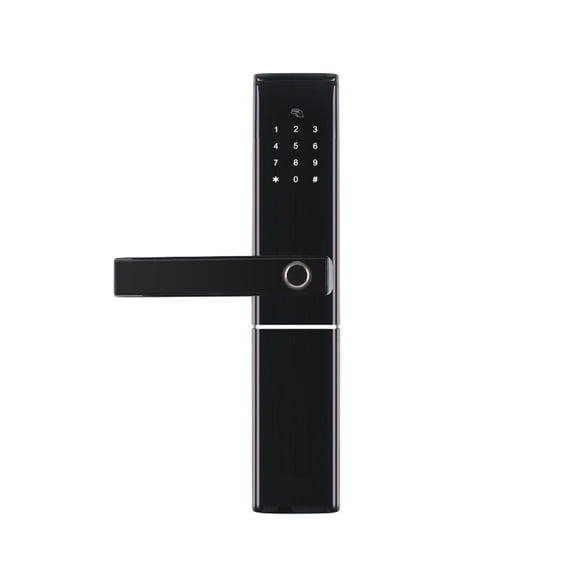 Fingerprint Smart Door Lock Intelligent Electronic Lock Fingerprint Verification With Password Card APP Unlock R-FK1 ,Easy to Installation and Use