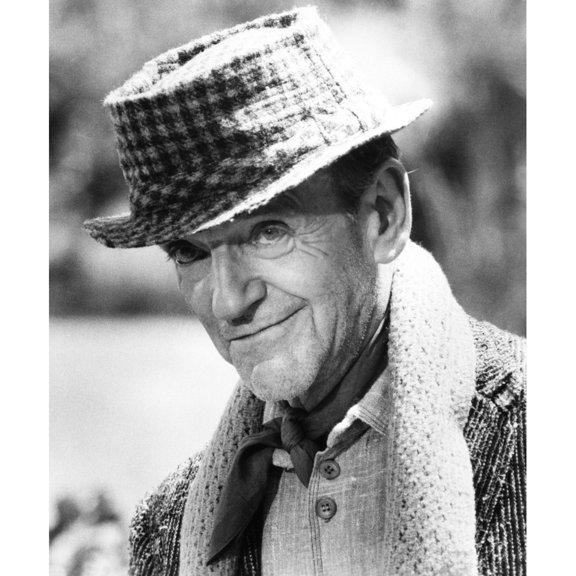 Finian'S Rainbow Portrait (8 x 10)