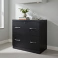thumbnail image 1 of Demi Bonn 2-Drawer File Cabinet with Lock Hinging Bar Letter and Legal Size, Black, 1 of 8