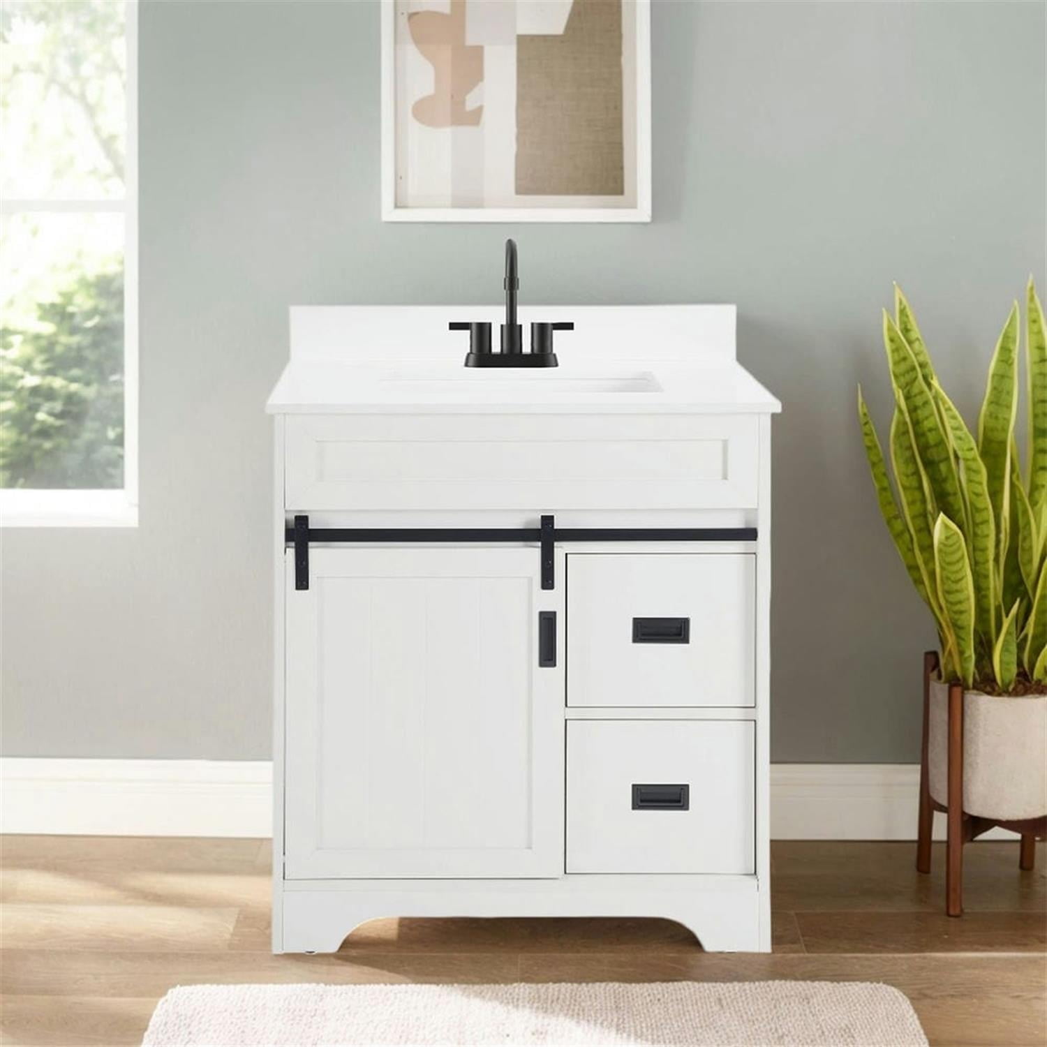 Demi Bonn 30" Freestanding Bathroom Vanity with Single Sink Combo, Farmhouse Undermount Bathroom Vanities Cabinet with Sliding Barn Doors and 2 Drawers, White