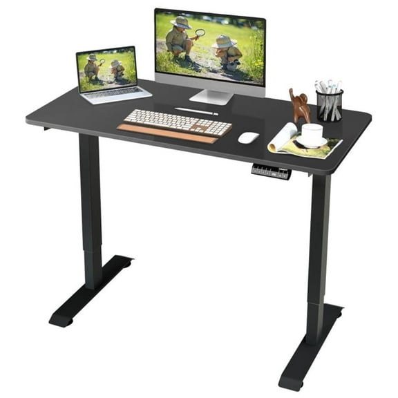 Demi Bonn Electric Height Adjustable Standing Desk with Memory Controller, Small Home Computer Desk Study Writing Table, Black