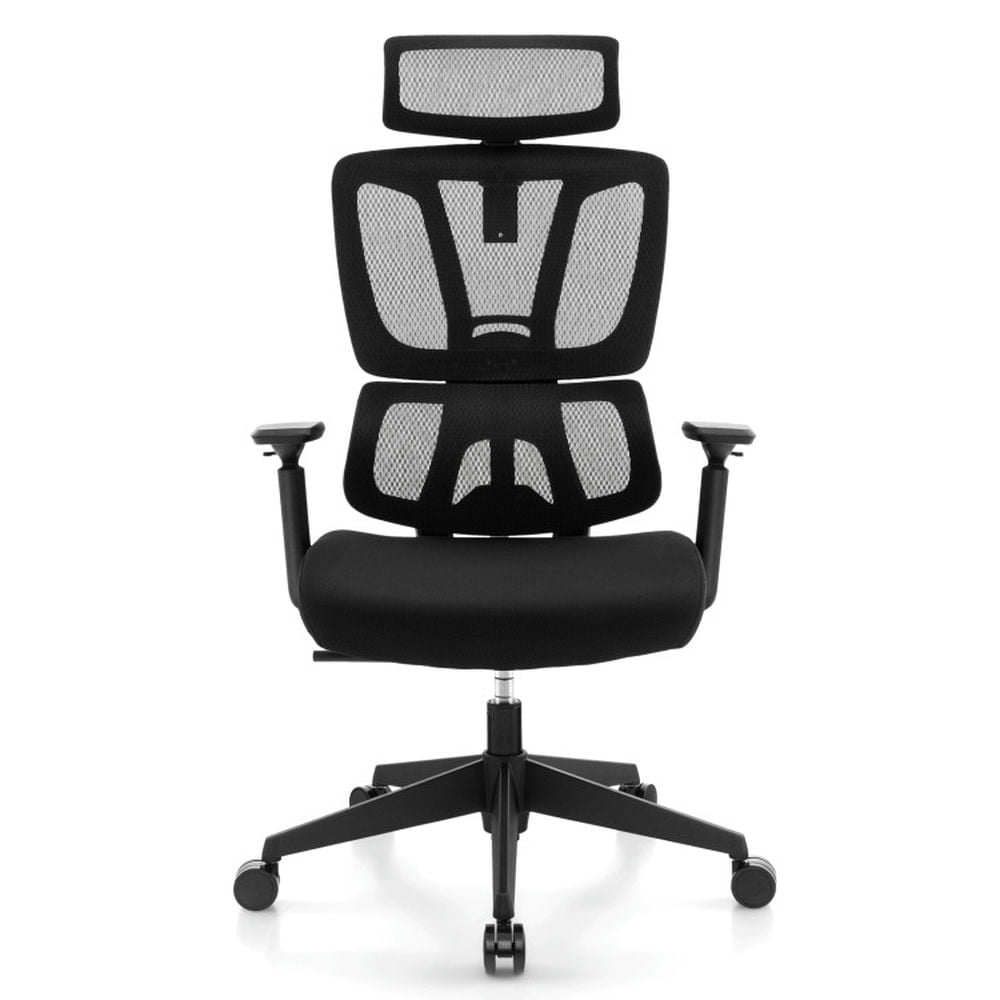 Demi Bonn Ergonomic Office Chair with N Type Lumbar Support and Adjustable Headrest, Rolling Work Computer Desk Chair, Black