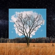 Fink - Bloom Innocent - Music & Performance - CD