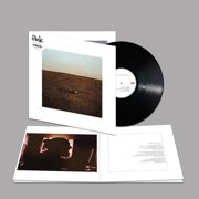Fink - The City Is Coming to Erase It All - Music & Performance - Vinyl