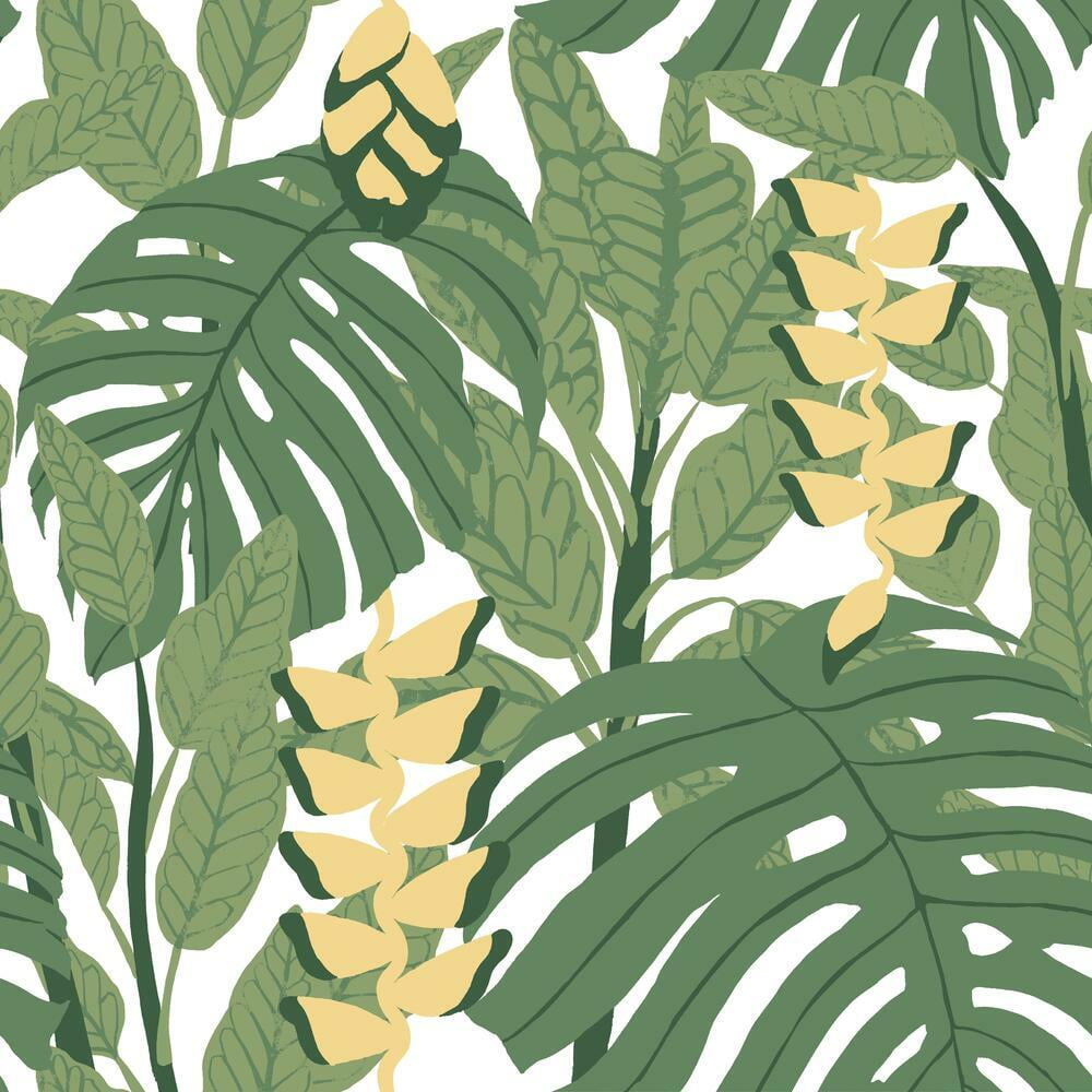 Finlayson Bunaken Peel and Stick Wallpaper