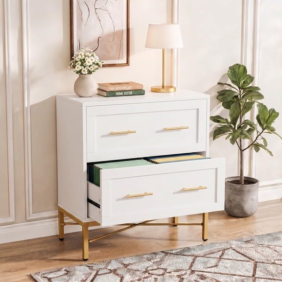 Finmind File Cabinet with 2 Drawer, Modern Lateral Filing Cabinet for Letter/Legal/A4 Size, Large File Storage Cabinets Printer Stand with Storage for Home Office, White and Gold