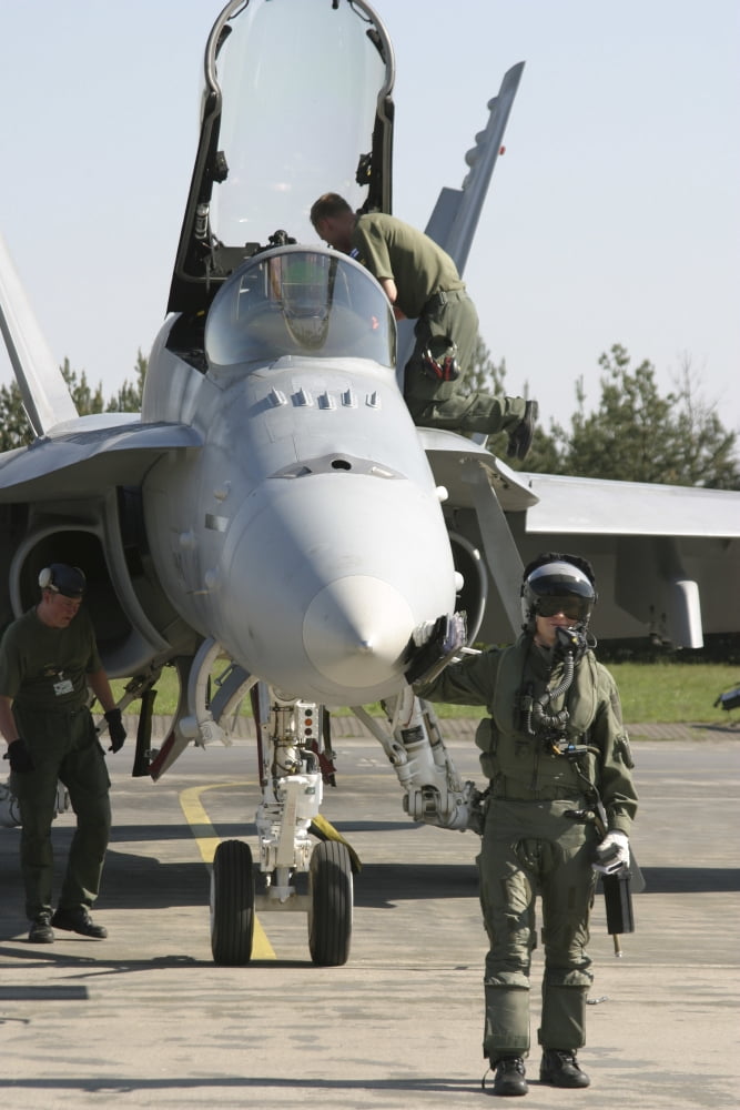 Finnish F-18 pilot performs pre-flight checks on an aircraft Canvas Art - Timm ZiegenthalerStocktrek Images (23 x 35)