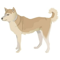 Finnish Spitz Decal | Indoor/Outdoor | Dog Lover Super Cute Sticker for SUV Windows, Dorm Rooms, Bedroom, Offices | SignMission personalized gift | 18"