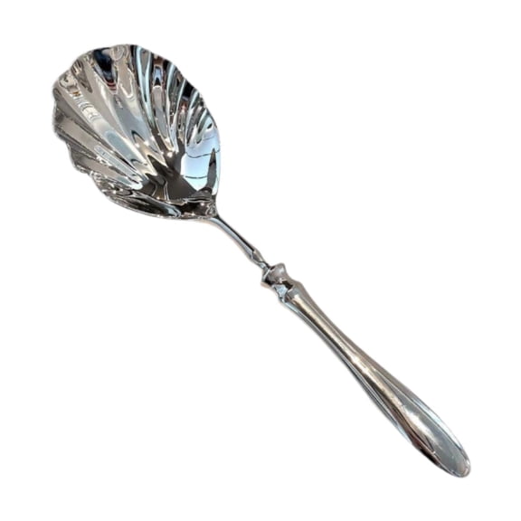 Fiocias Buffet Banquet Serving Spoon Stainless Steel Shell Shape Tablespoon for Catering