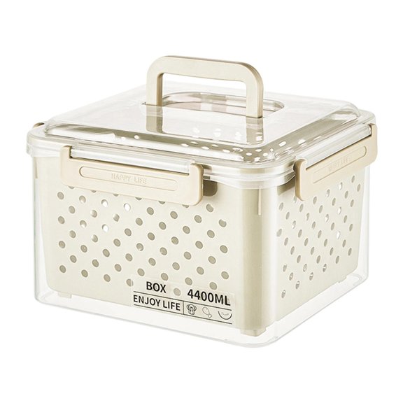 Fiocias Fruit Container for Fridge Keep Fresh with Removable Colander with Lid Leakproof 20x16x15cm