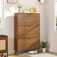 thumbnail image 1 of Fiogmub Shoe Cabinet with 3 Flip Drawers, Freestanding Shoe Storage Cabinet, Narrow Shoe Rack Organizer for Entryway, 1 of 8