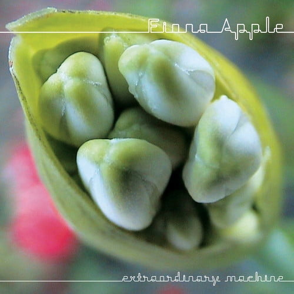 Fiona Apple - Extraordinary Machine - Music & Performance - CD - Walmart.com