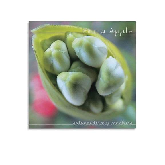 Fiona Apple Poster (14) Picture Print Wall Art Poster Painting Canvas Posters Artworks Gift Room Aesthetic 16x16inch(40x40cm)