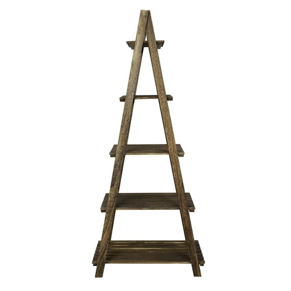 Fionafurn 5-Tier 51'' Ladder Shelf Bookshelf Bookcase Storage Display Plant Leaning Shelf Brown