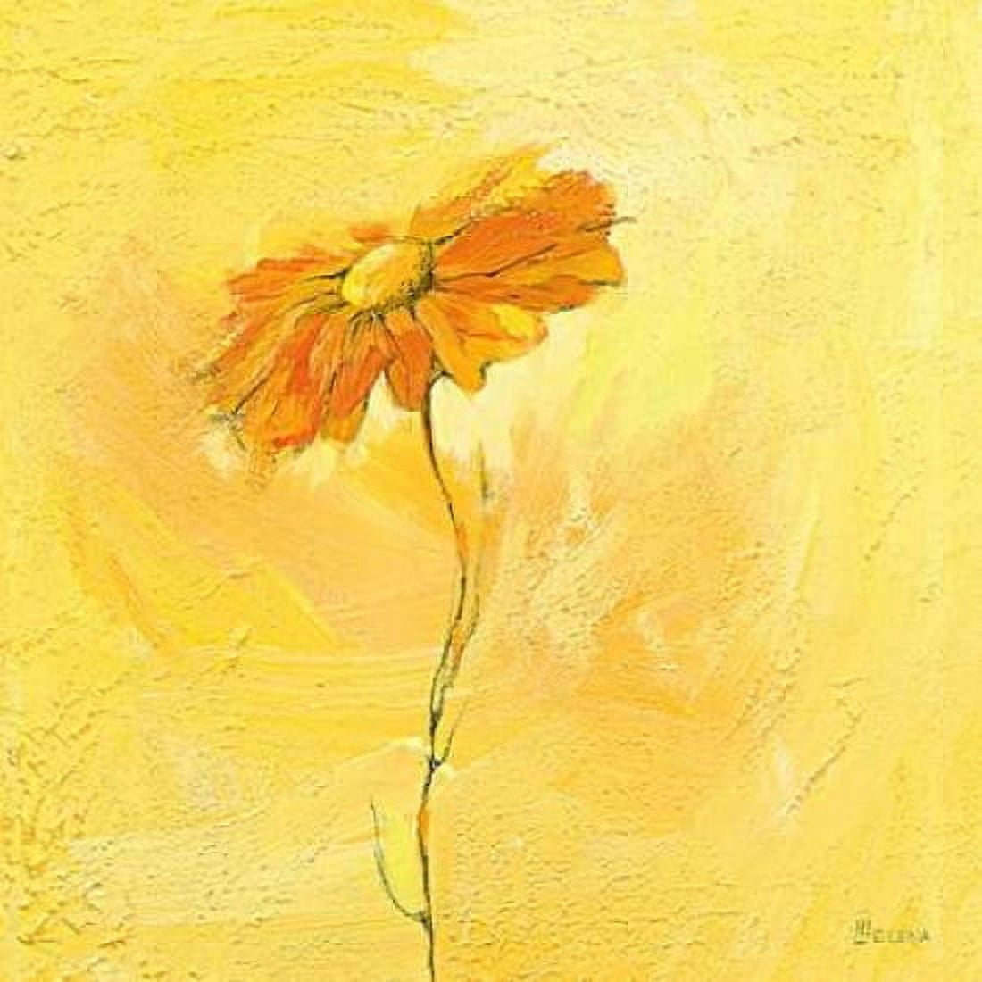 Fiore 1 Canvas Art - Elena Filatov (24 x 24)