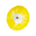 thumbnail image 1 of Fiore Hand Blown Art Glass Wall Décor with Floral Finial Centerpiece, Yellow, 14" Diameter, 1 of 8