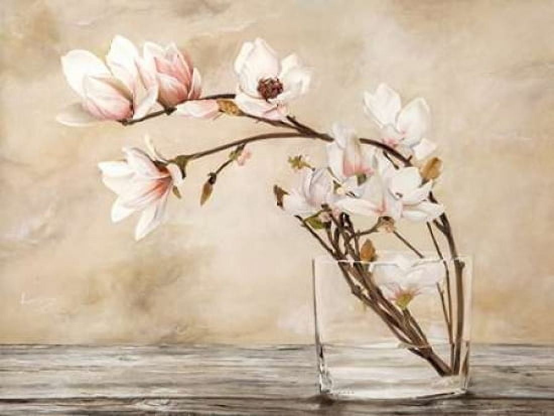 Fiori di magnolia Canvas Art - Cristina Mavaracchio (22 x 28)