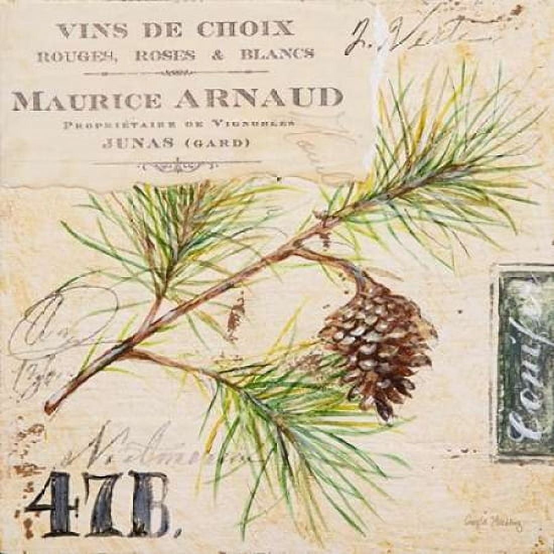 Fir Branch-Sketchbook Canvas Art - Angela Staehling (24 x 24)