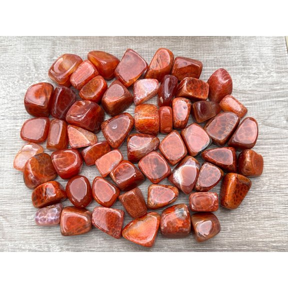 Fire Agate Tumbled Stones, Polished Fire Agate Gemstone, Fire Agate Healing Crystals (Fire Agate, 1 Pound)