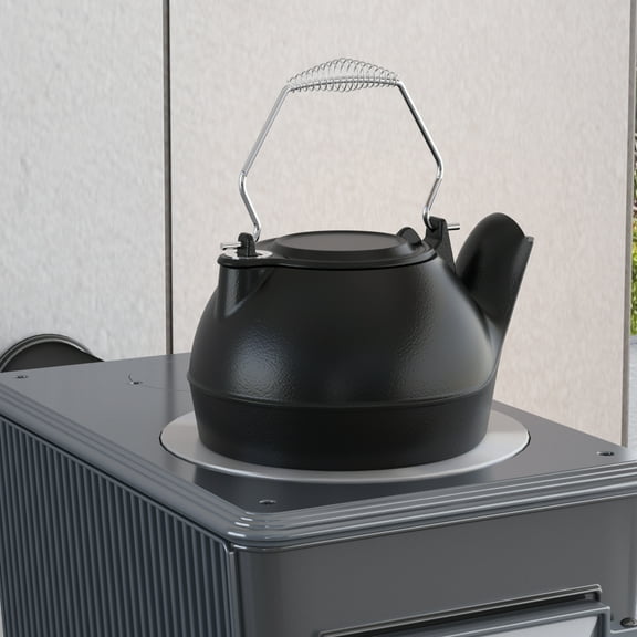 Fire Beauty Humidifying Iron Kettle with sliver hand,Stove Humidifier,2.5L Mini Wood Stove Kettle,Cast Iron,Chrome Handle