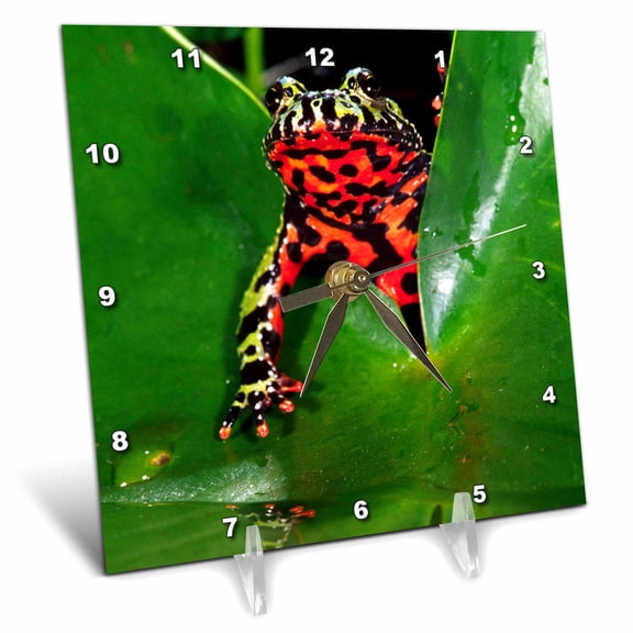 3dRose, Fire Belly Toad, Native to China - NA02 DNO0112 - David Northcott, 6x6 Desk Clock