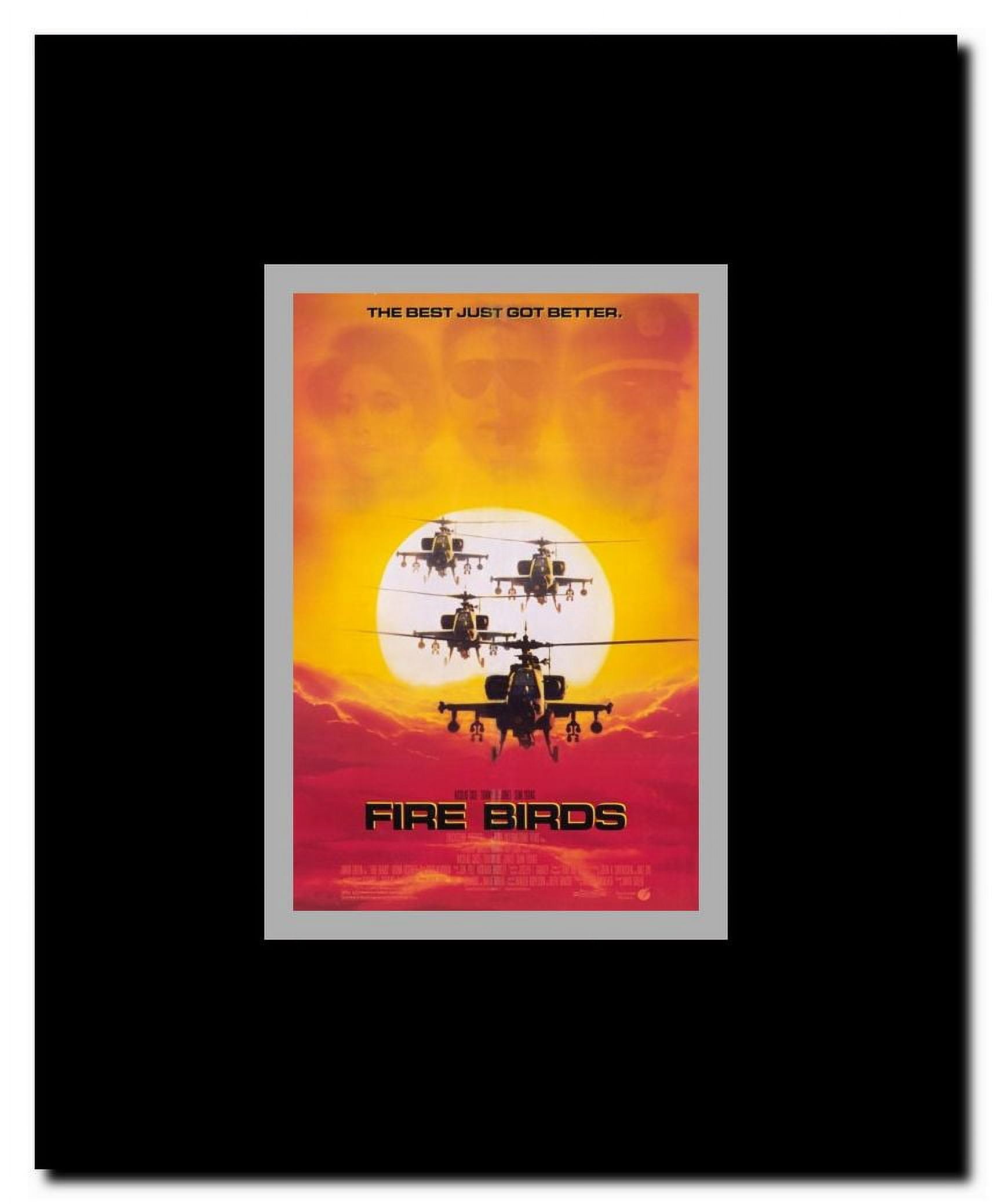 Fire Birds Framed Movie Poster