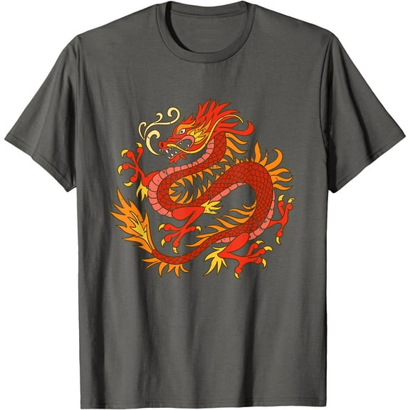 Fire Dragon Fantasy Animal Gift Unisex T-Shirt for Men Women Kids Toddler,Charcoal Color,Size 2T