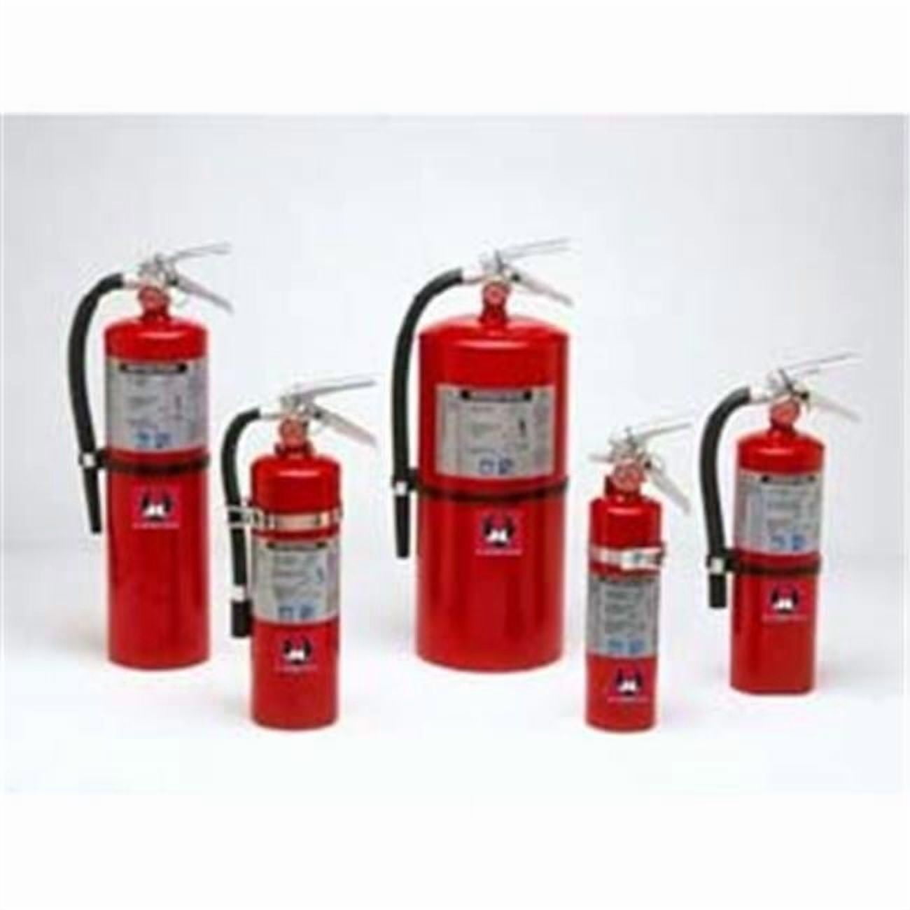 Fire Extinguisher, 10 lbs Multi-Purpose Dry Chemical, Cosmic 10E