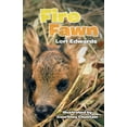 thumbnail image 1 of Fire Fawn, 1 of 1