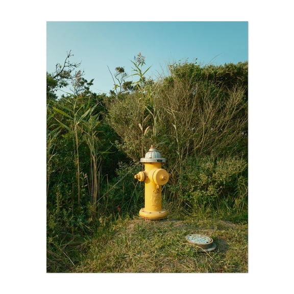 Fire Hydrant, Fire Island - Fire Island New York Photography Nature Landscape Scenic Botanical Summer Rural Minimalist Unframed Wall Art Print 36 x 48 inches