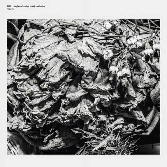 Fire / O'Malley,Stephen / Sandstrom,David - Requies - Music & Performance - Vinyl