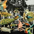 thumbnail image 1 of Fire Orchestra - Ritual - Jazz - Vinyl, 1 of 1