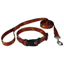 Country Brook Petz® Fire Paisley Deluxe Dog Collar and Leash, Small