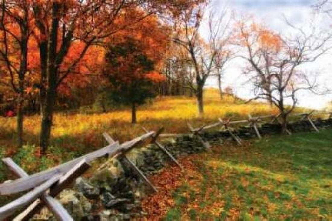 Fire Ridge II Canvas Art - Alan Hausenflock (20 x 28)