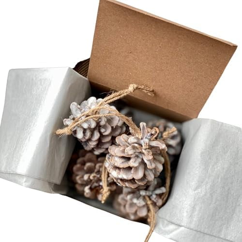 Fire Starters Scented Pine Cones | Fireside Natural Fire Pit Starters with Natural Soy Wax | Christmas Home Fragrance Fir Cypress Cedar Amber Moss | Set of 10 Pine Cones Gift Box