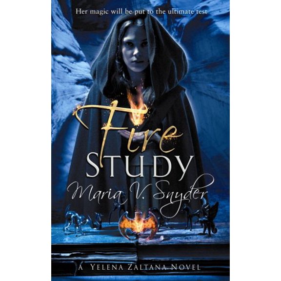 Pre-Owned Fire Study (Paperback) 0778302652 9780778302650