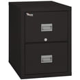 thumbnail image 1 of FireKing Black Patriot 1 Hour Fire Resistant 31" depth File Cabinet with 2 Drawers filing letter hanging folders, 1 of 3