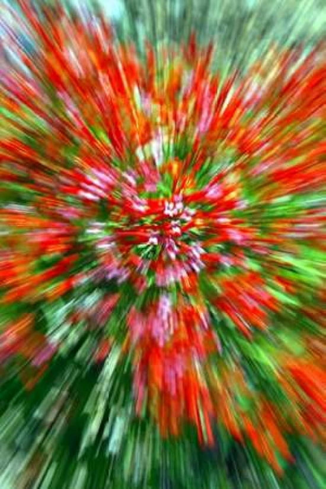 Firecracker Bush Canvas Art - Douglas Taylor (24 x 36)