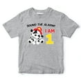 thumbnail image 1 of Firefighter 1st Birthday Boy Shirt Sprinkles And Jam Fireman 1st Birthday Shirt for Boys, 1 of 3