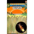 thumbnail image 1 of Pre-Owned Fireflies (Paperback) 0140031502 9780140031508, 1 of 1