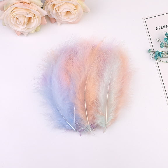 Firefly Hope 200Pcs 3.9-5.9 Inch Fluffy Feathers, Natural Craft Feathers for DIY Crafts, Wedding Party Decor, Floral & Holiday DecorationMulticolour