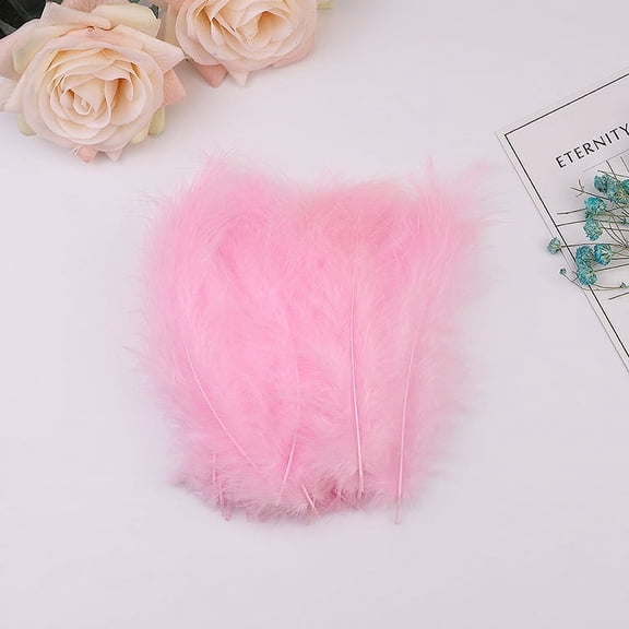 Firefly Hope 300Pcs 5-6 Inch Bulk Craft Rooster Feathers, Natural Feathers for Kindergarten DIY Crafts, Wedding Decor, Family Party & Dream Catcher Supplies, Pink
