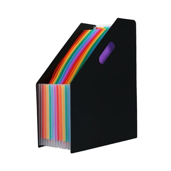 Firefly Hope Foldable File Organizer - 12 Rainbow Compartments for A4 Documents, Home & Office Use File Black Organizer, 1 piece
