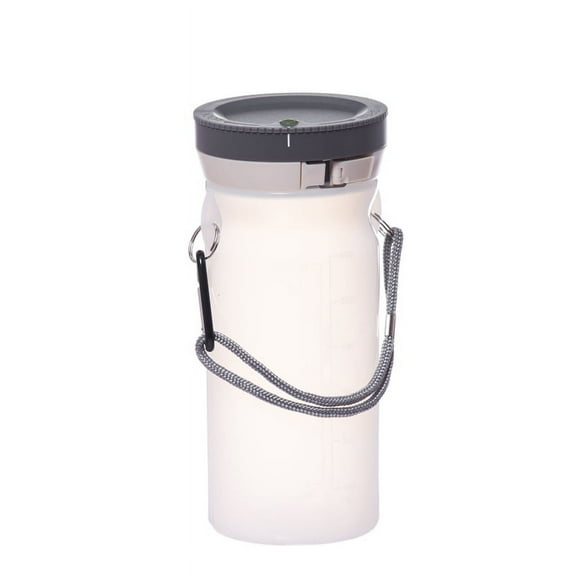 Firefly Outdoor Lifestyle Lantern, 20 oz., Frosted White