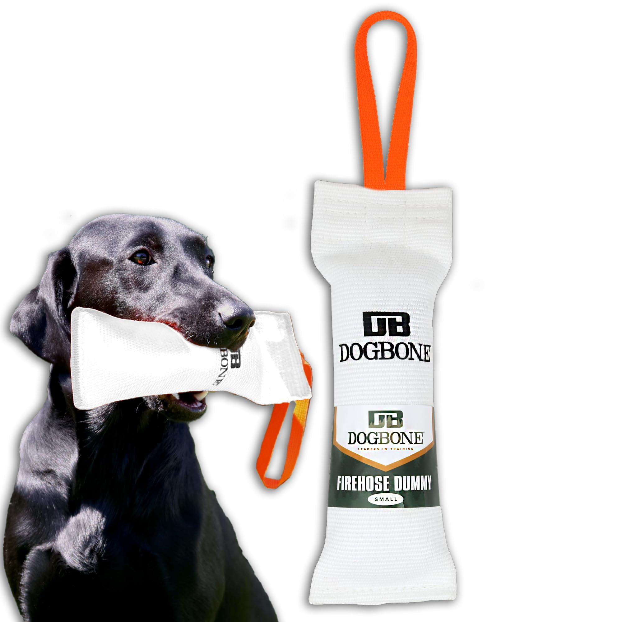 Gun Dog Training Sporting Dog Supplies Dog Supplies Hunting Dog