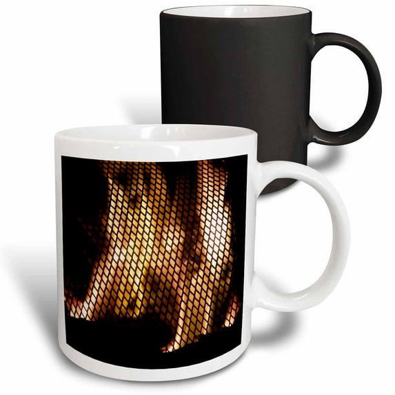 3drose, Firepit Seen Thru a Screen, 11oz Magic Transforming Mug