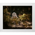 thumbnail image 1 of Firesova, Michaela 18x15 White Modern Wood Framed Museum Art Print Titled - Long Eared Owl, 1 of 4