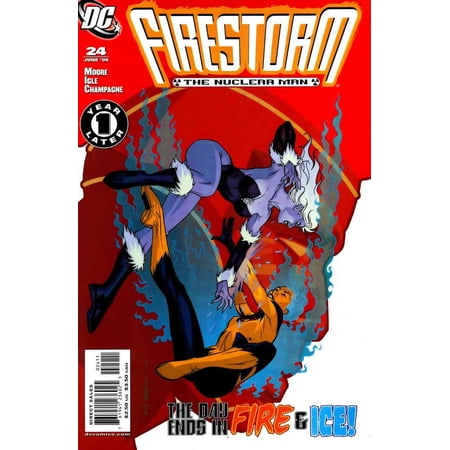 Firestorm (2nd Series) #24 VF ; DC Comic Book