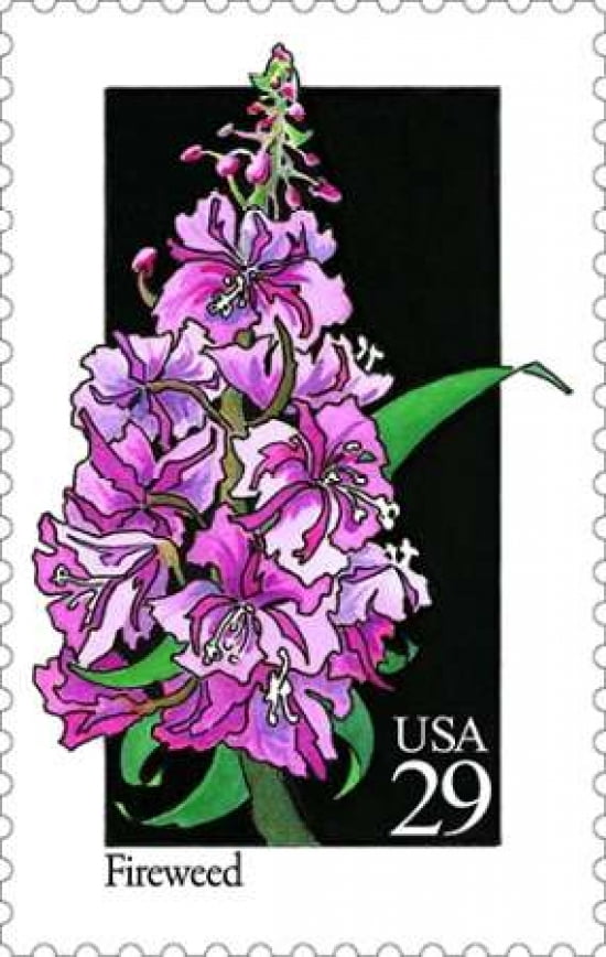 Fireweed Canvas Art - US POSTAL SERVICE (24 x 36)