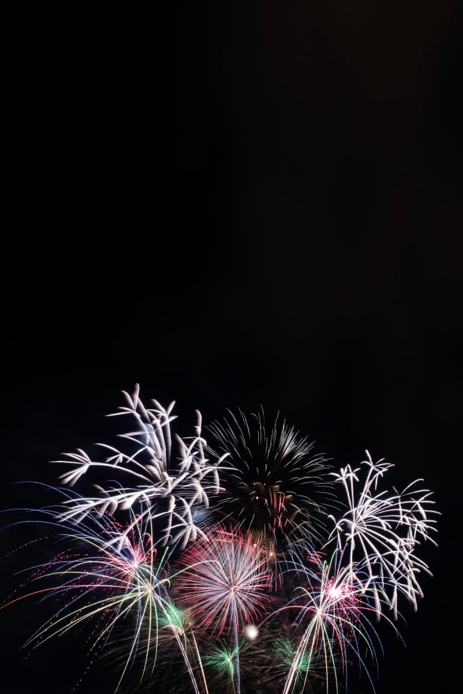Firework display at night sky Albuquerque International Balloon Fiesta Albuquerque New Mexico USA Canvas Art - Panoramic Images (18 x 24)